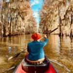 From Farm to Table: Exploring Seasonal Eatin